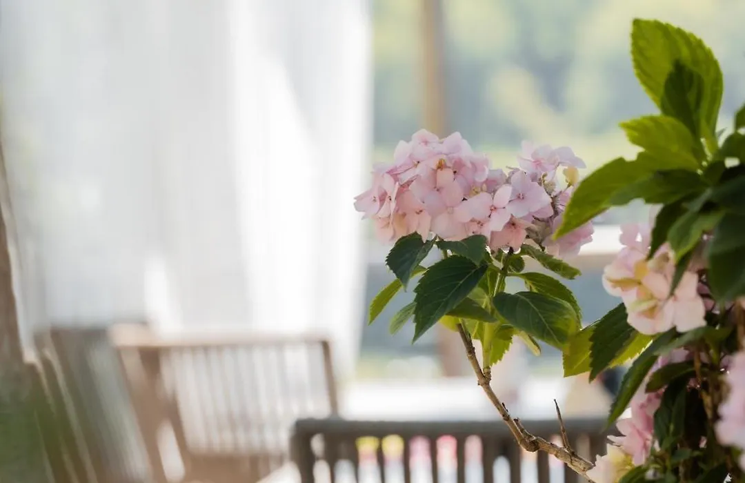 B&B Unterhabsbergerhof-1